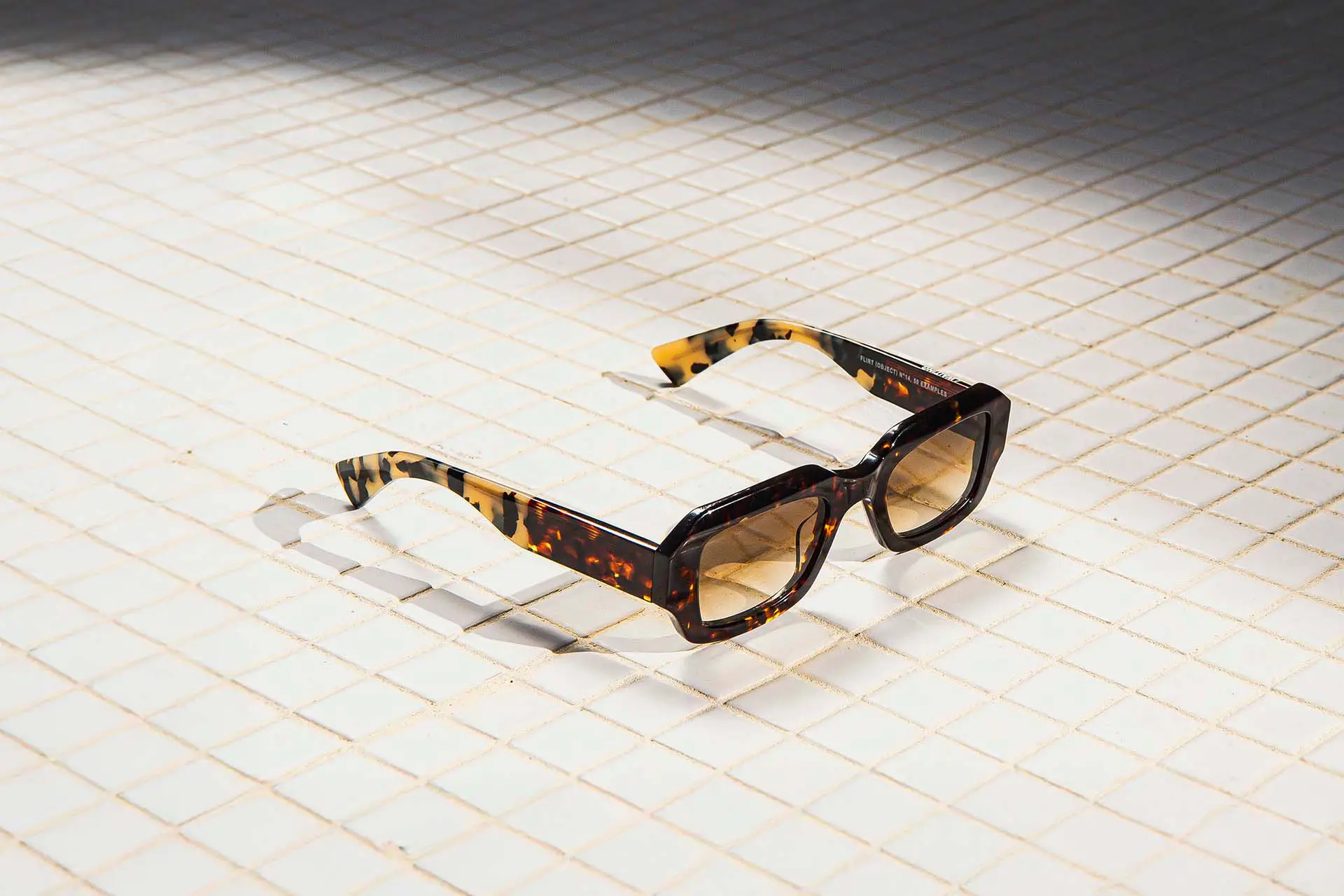 Photo studio de lunettes de soleil Waiting for the Sun désormais disponibles chez Winston Optique.